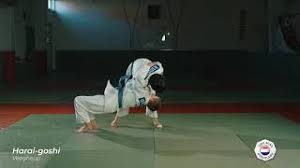 blauwe band judo