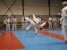 judo trainingen