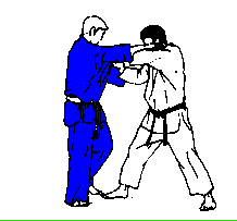 judo schouderworp