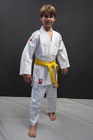 fightart judo