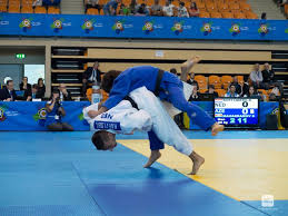 judo s