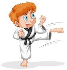 judo taekwondo karate
