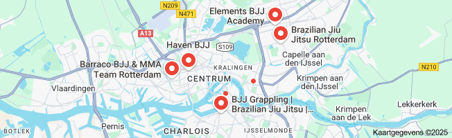 brazilian jiu jitsu rotterdam