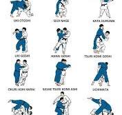 judo techniques