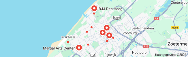 brazilian jiu jitsu den haag