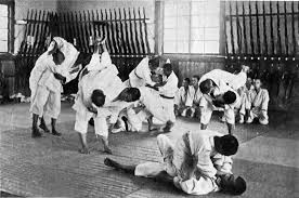 verschil judo en karate
