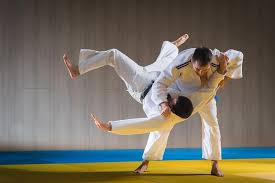 wat betekent judo