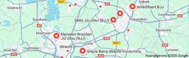 brazilian jiu jitsu nederland