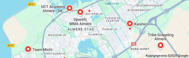 brazilian jiu jitsu almere