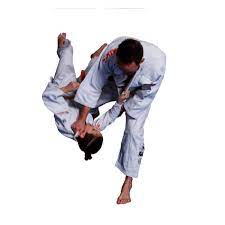 judo in de buurt
