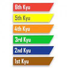 kyu judo
