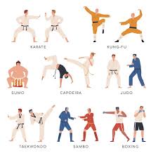 wat is het verschil tussen judo en karate