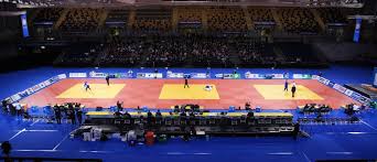 arena judo