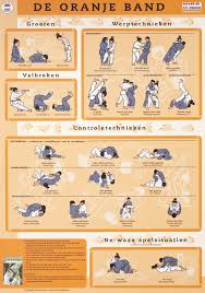 oranje gordel judo