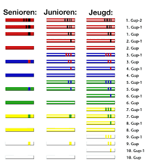 bandensysteem judo