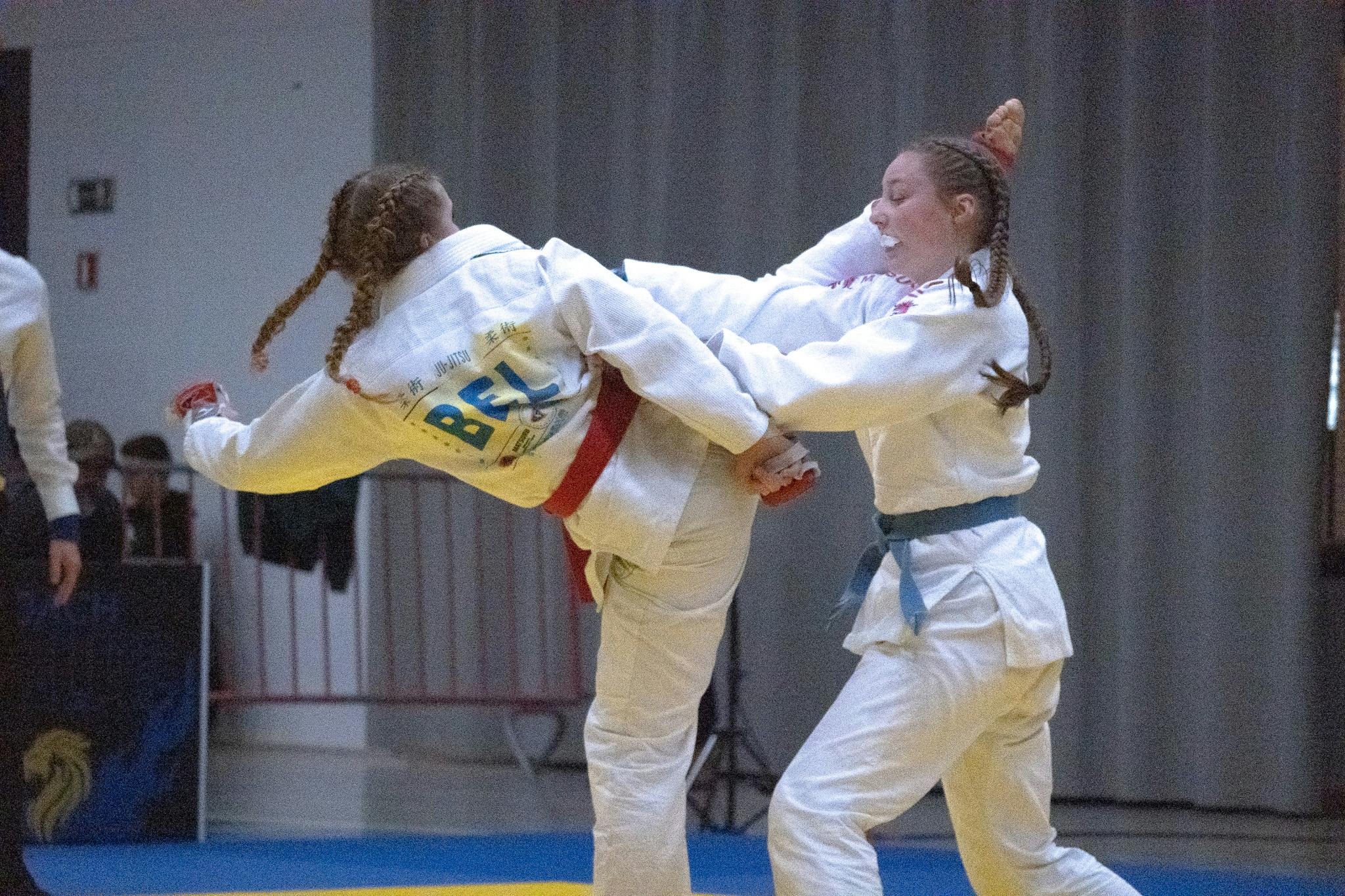 judo wilrijk