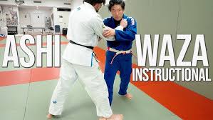 waza judo