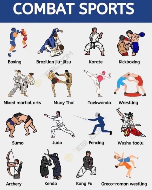 martial arts vertaling