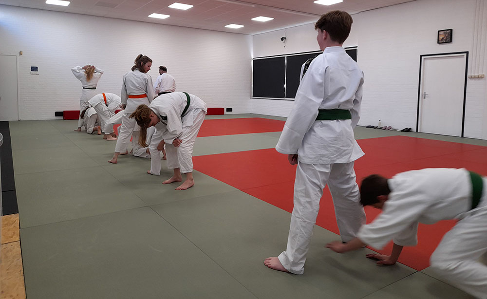 proefles judo