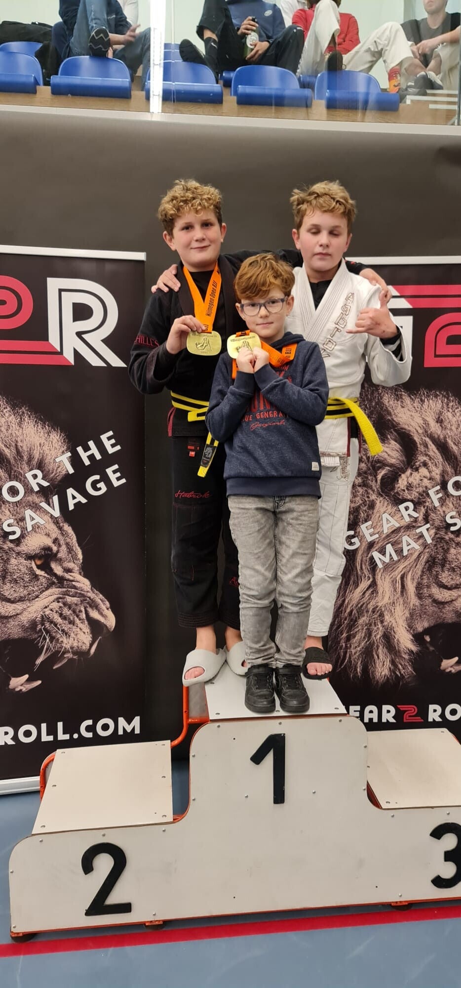 brazilian jiu-jitsu almere