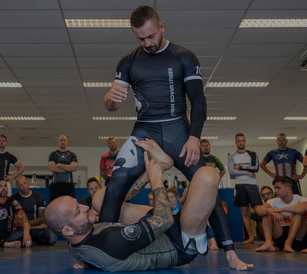 brazilian jiu jitsu breda