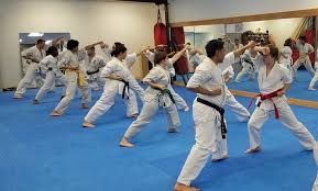 budo karate